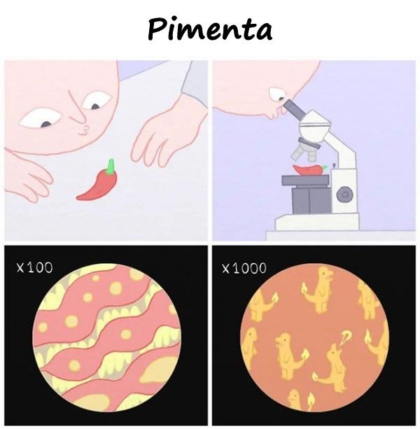 Pimenta