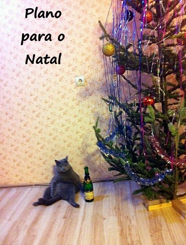 Plano para o Natal