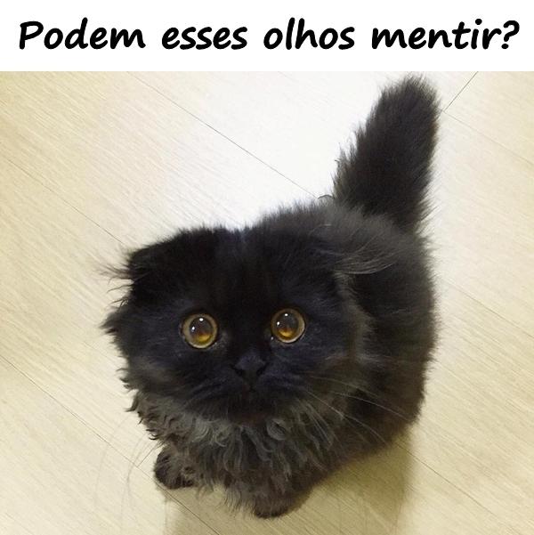 Podem esses olhos mentir