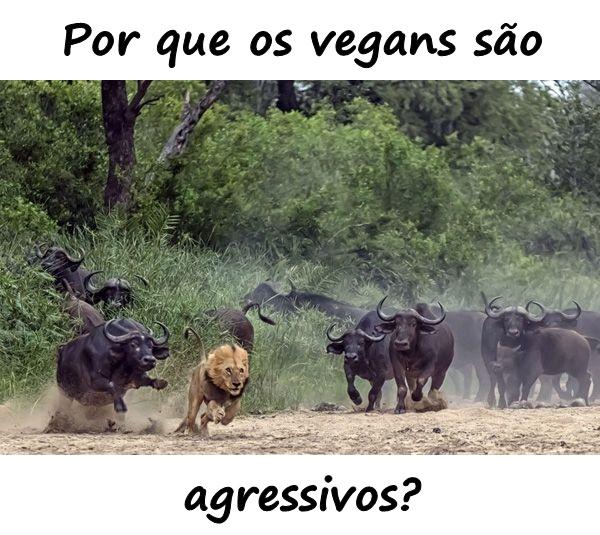 Por que os vegans são agressivos