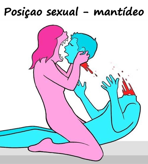 Posição sexual - mantídeo