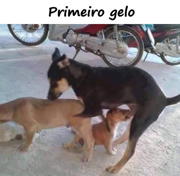 Primeiro gelo