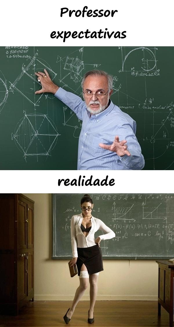 Professor: expectativas e realidade