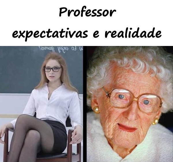 Professor: expectativas e realidade