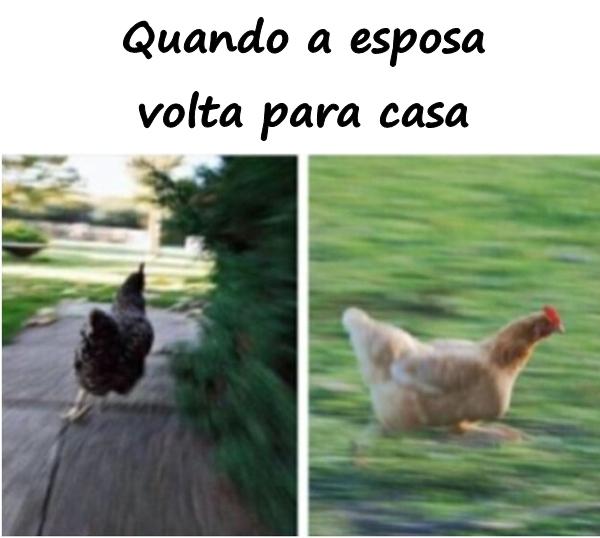 Quando a esposa volta para casa