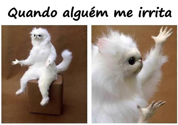 Quando alguém me irrita