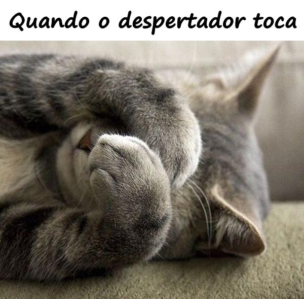 Quando o despertador toca