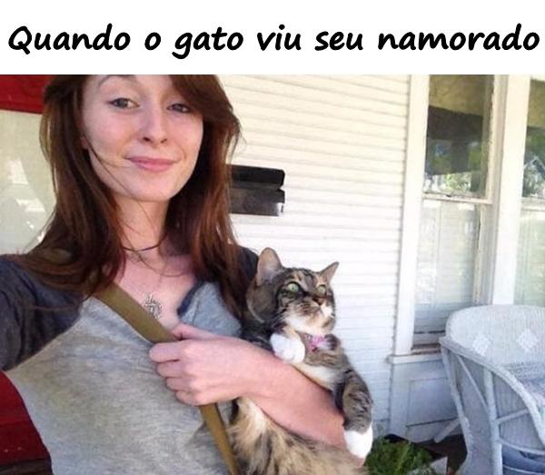 Quando o gato viu seu namorado