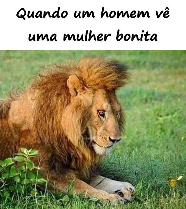 Quando um homem vê uma mulher bonita