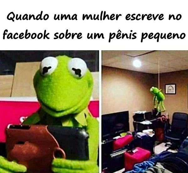 Quando uma mulher escreve no facebook sobre um pênis pequeno