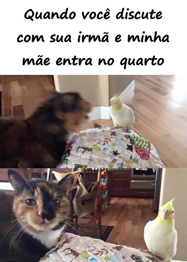 Quando você discute com sua irmã e minha mãe entra no quarto