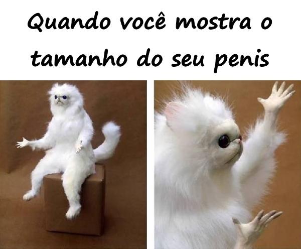 Quando você mostra o tamanho do seu pênis