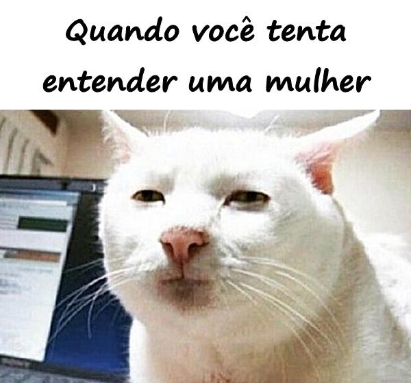 Quando você tenta entender uma mulher