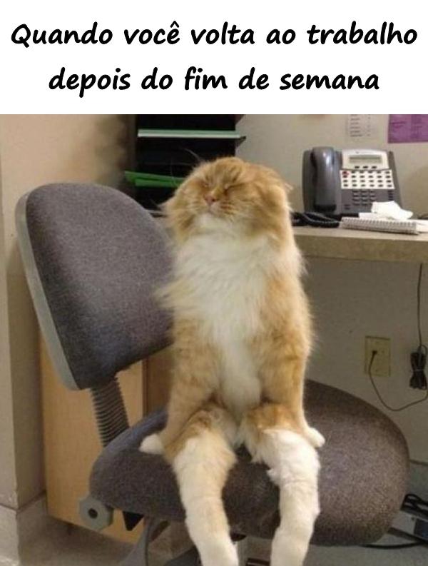 Quando você volta ao trabalho depois do fim de semana