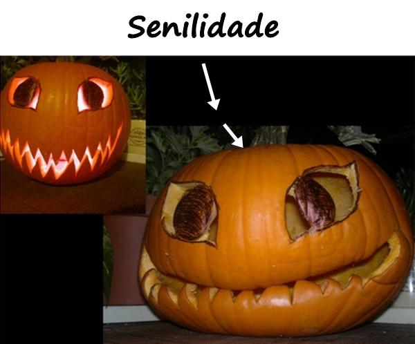 Senilidade