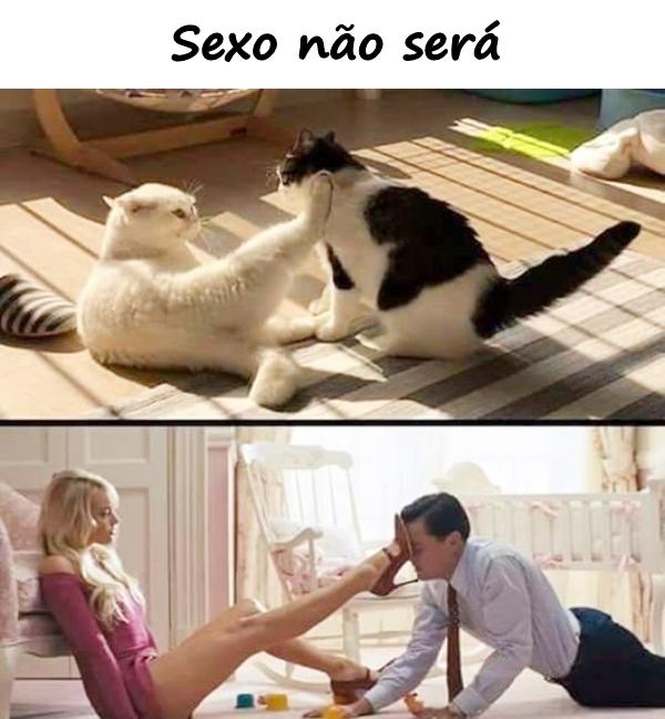 Sexo não será