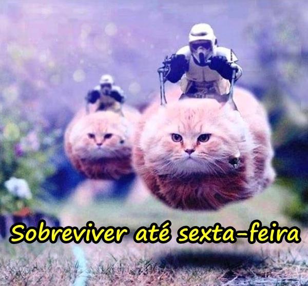 Sobreviver até sexta-feira