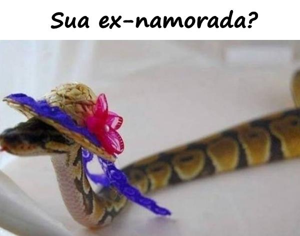 Sua ex-namorada