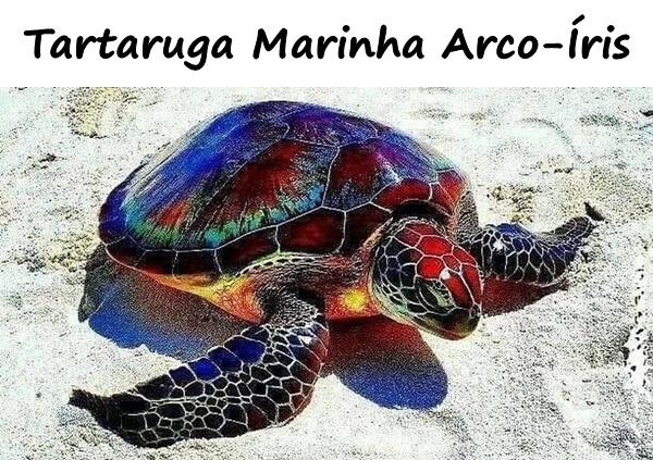 Tartaruga Marinha Arco-Íris