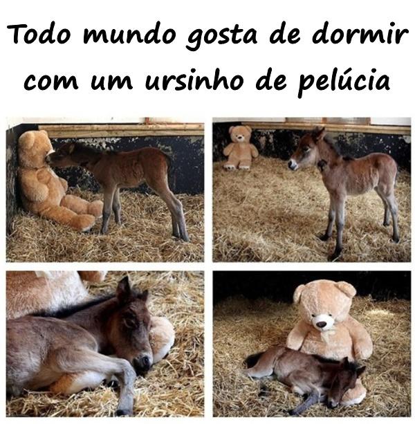 Todo mundo gosta de dormir com um ursinho de pelúcia