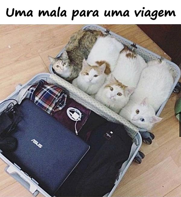 Uma mala para uma viagem