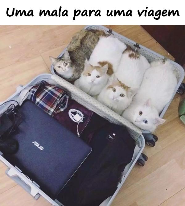 Uma mala para uma viagem