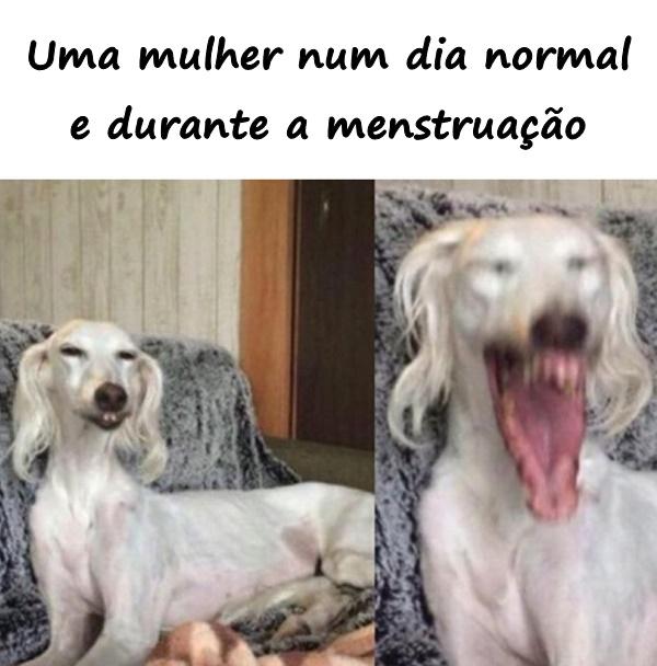 Uma mulher num dia normal e durante a menstruação