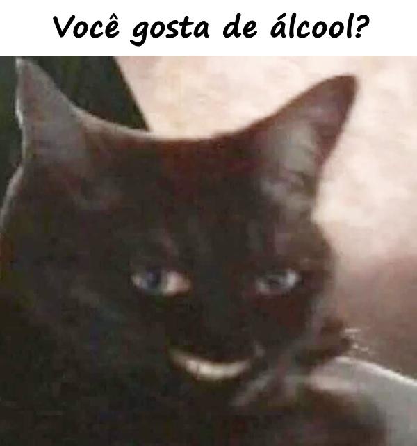 Você gosta de álcool