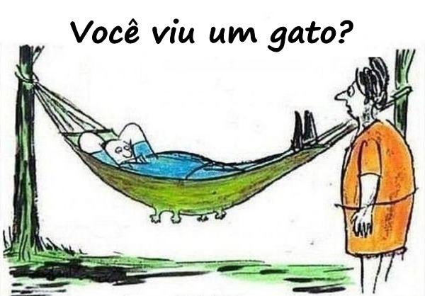 Você viu um gato