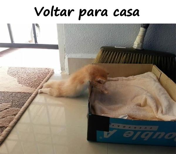 Voltar para casa