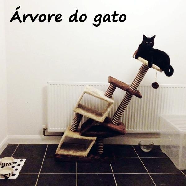 Árvore do gato