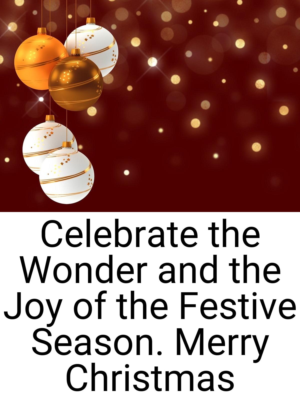 Celebrate the Wonder and the Joy of the Festive Season
