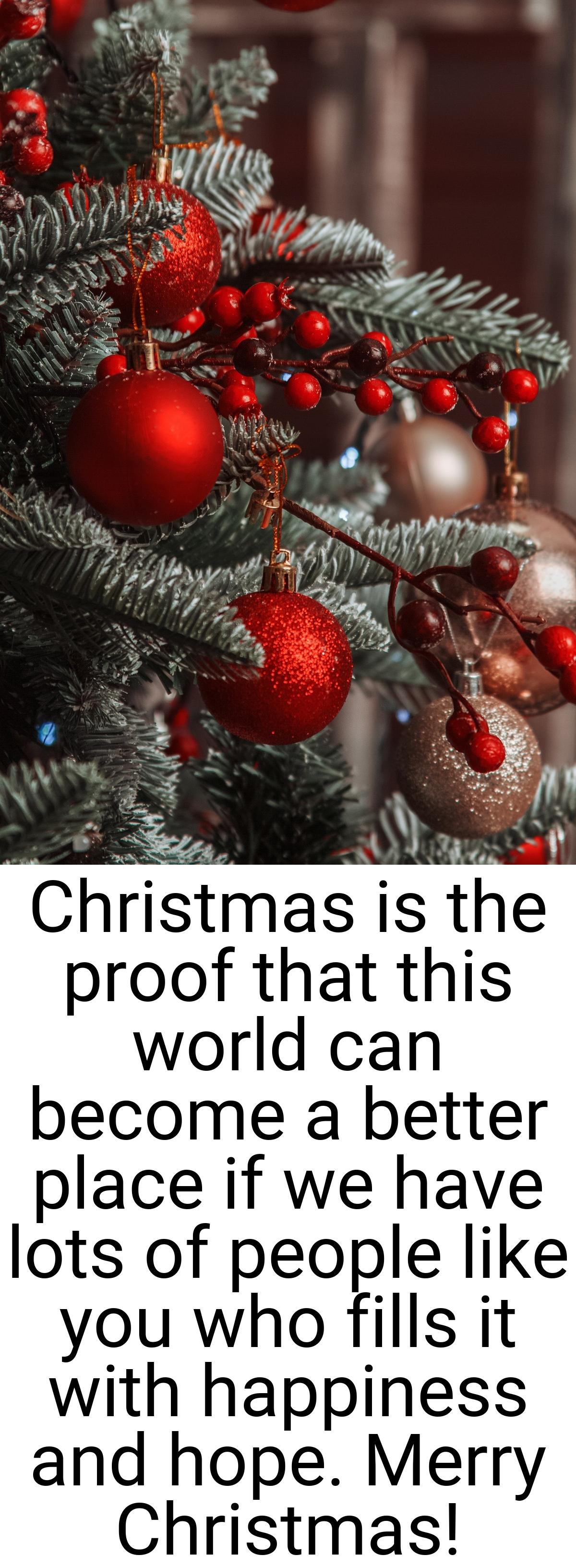 Christmas is the proof that this world can become a better