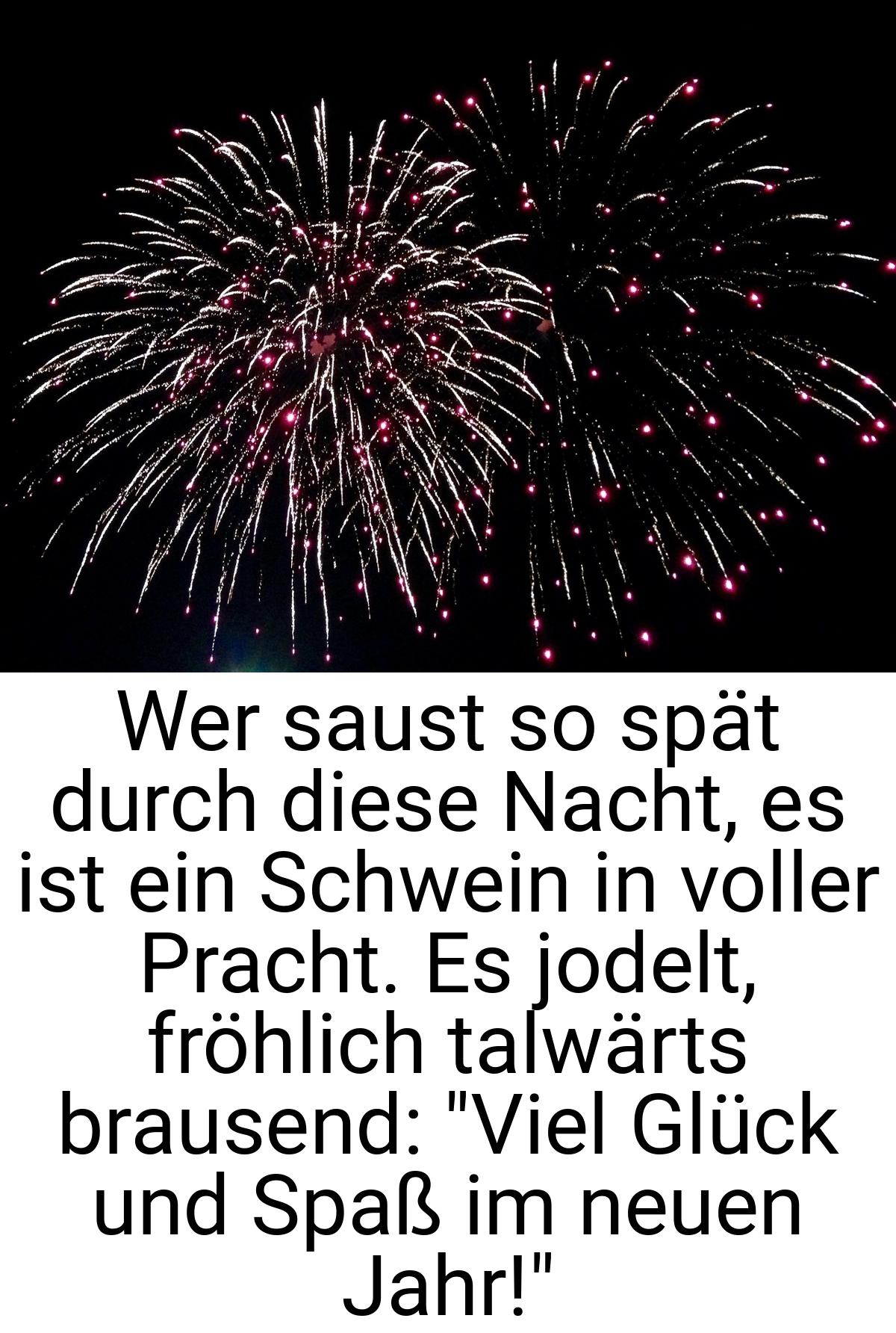 Wer saust so spät durch diese Nacht, es ist ein Schwein in