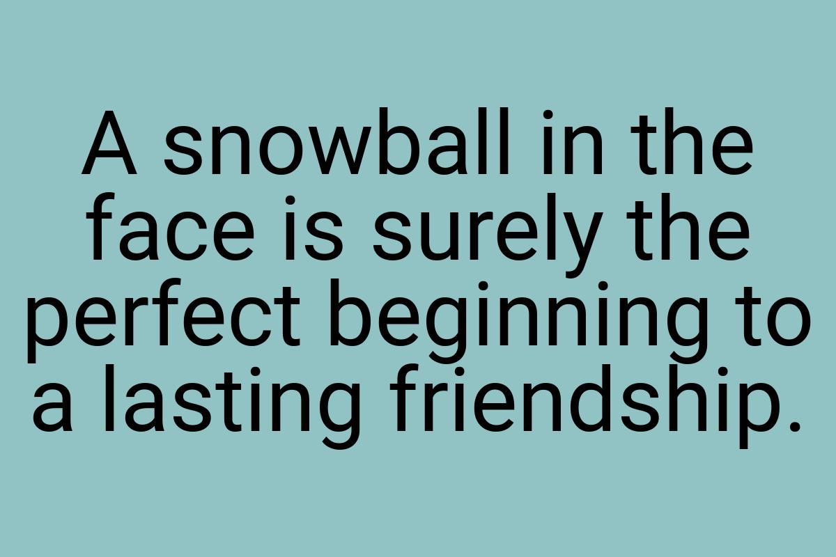 A snowball in the face is surely the perfect beginning to a
