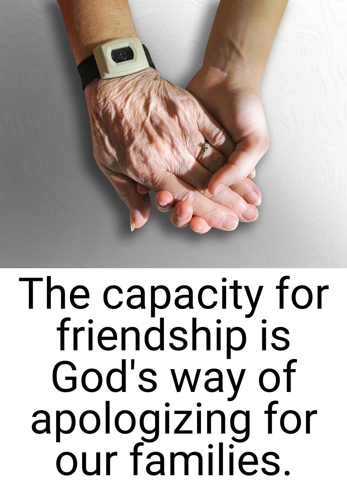 The capacity for friendship is God's way of apologizing for