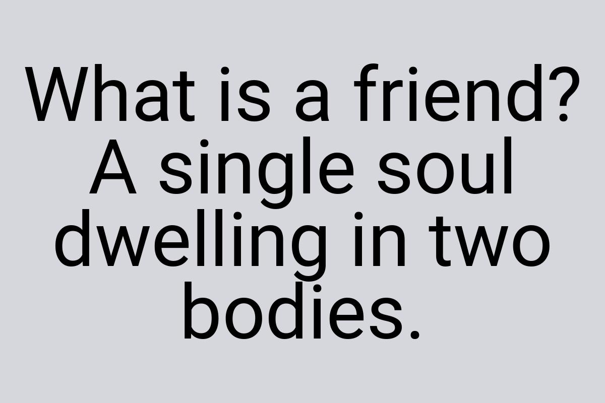 What is a friend? A single soul dwelling in two bodies