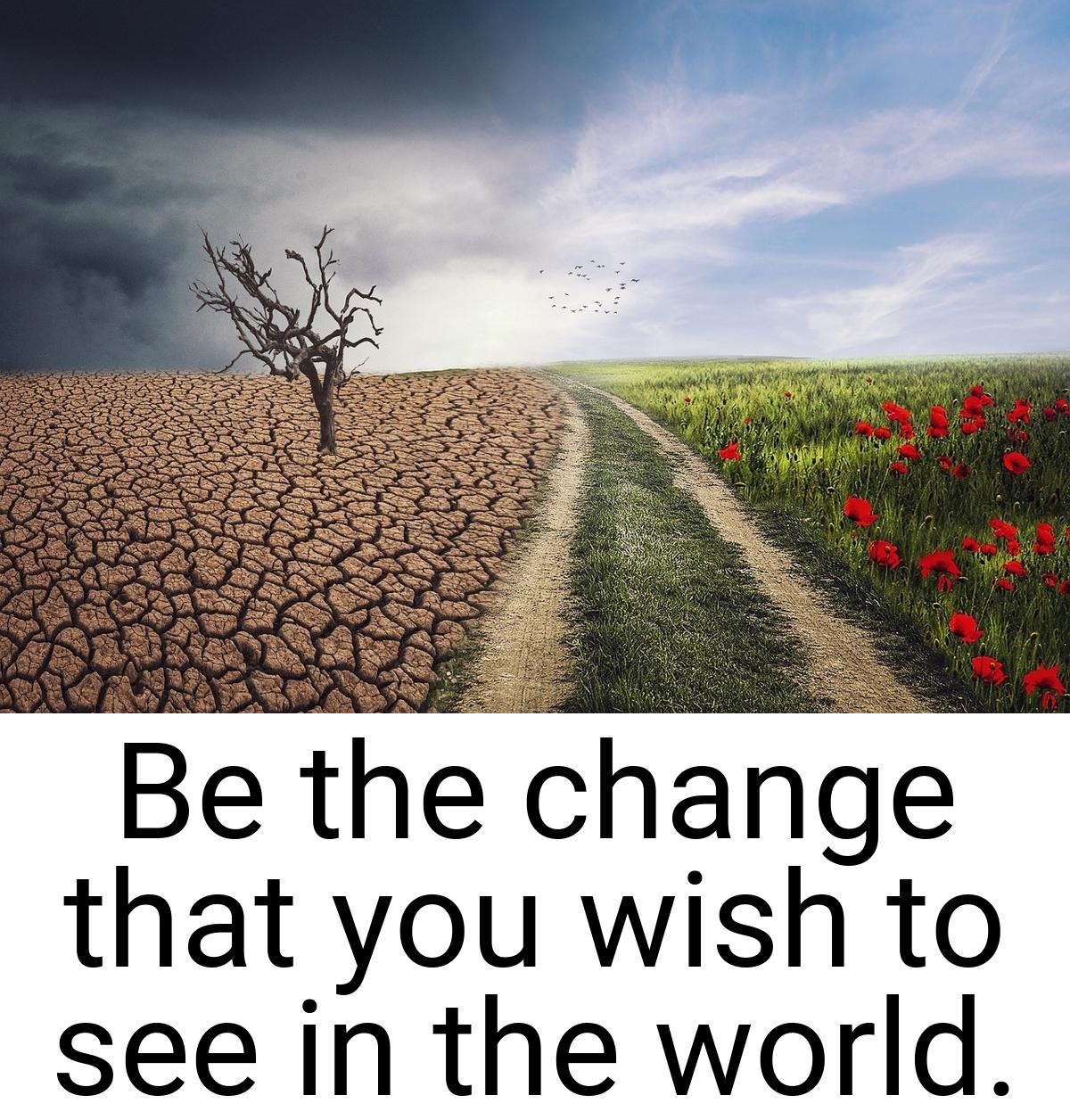 Be the change that you wish to see in the world