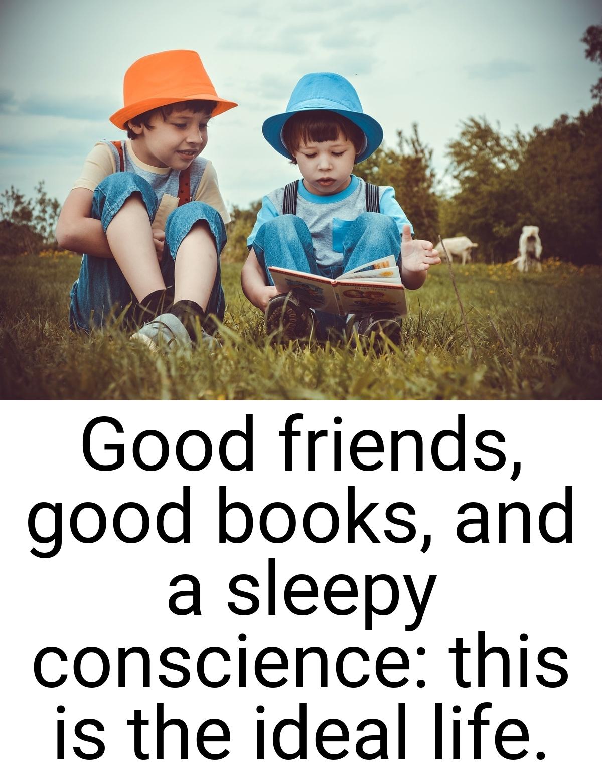Good friends, good books, and a sleepy conscience: this is