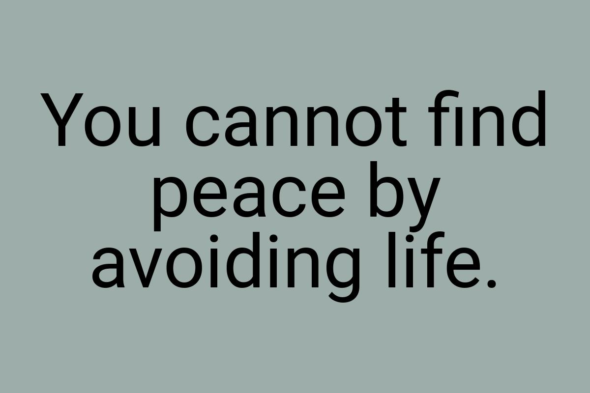 You cannot find peace by avoiding life