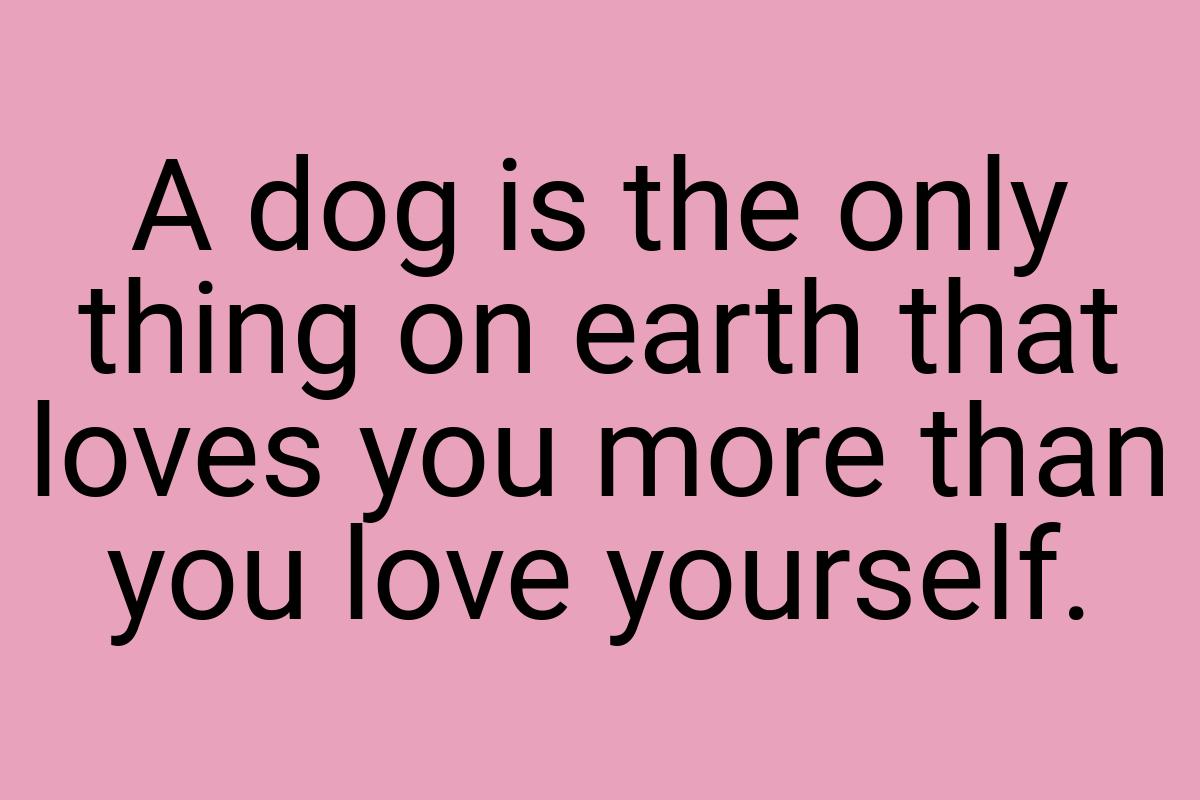 A dog is the only thing on earth that loves you more than