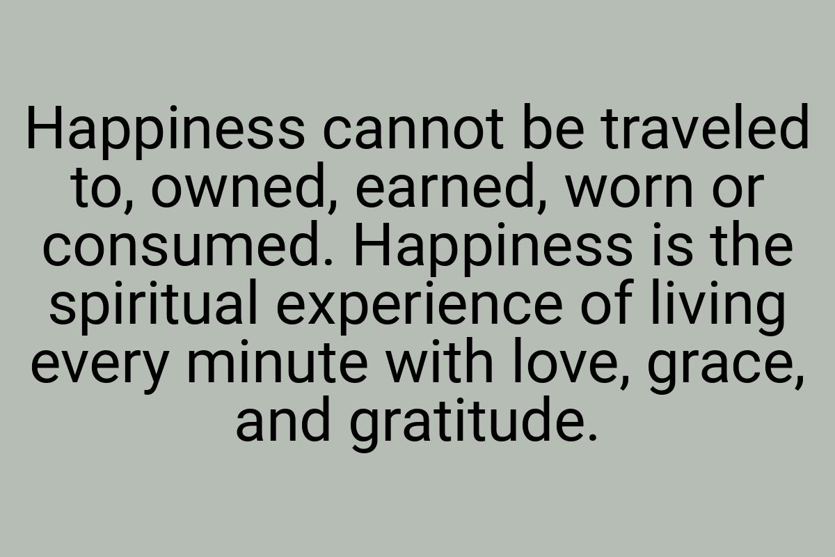 Happiness cannot be traveled to, owned, earned, worn or