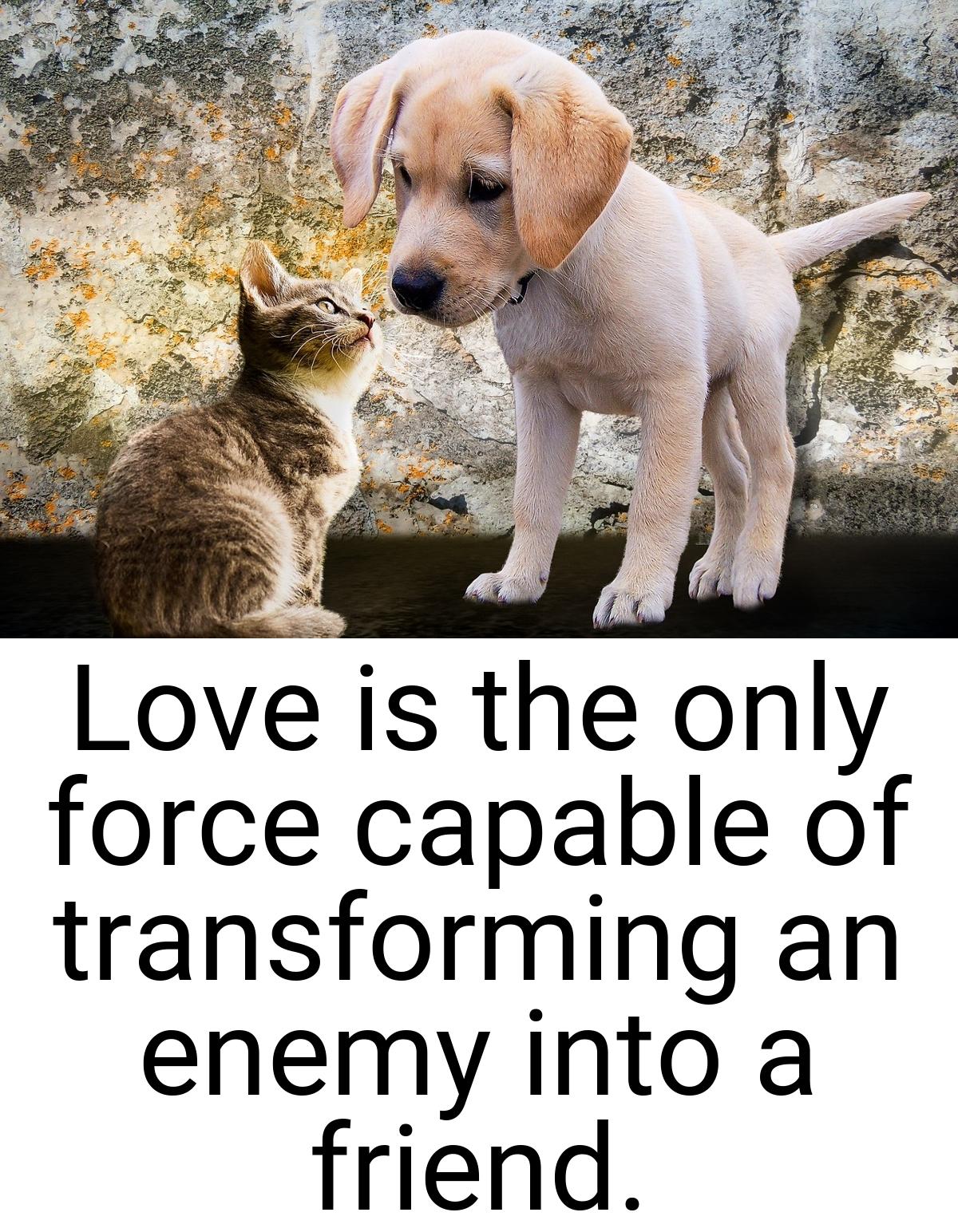Love is the only force capable of transforming an enemy