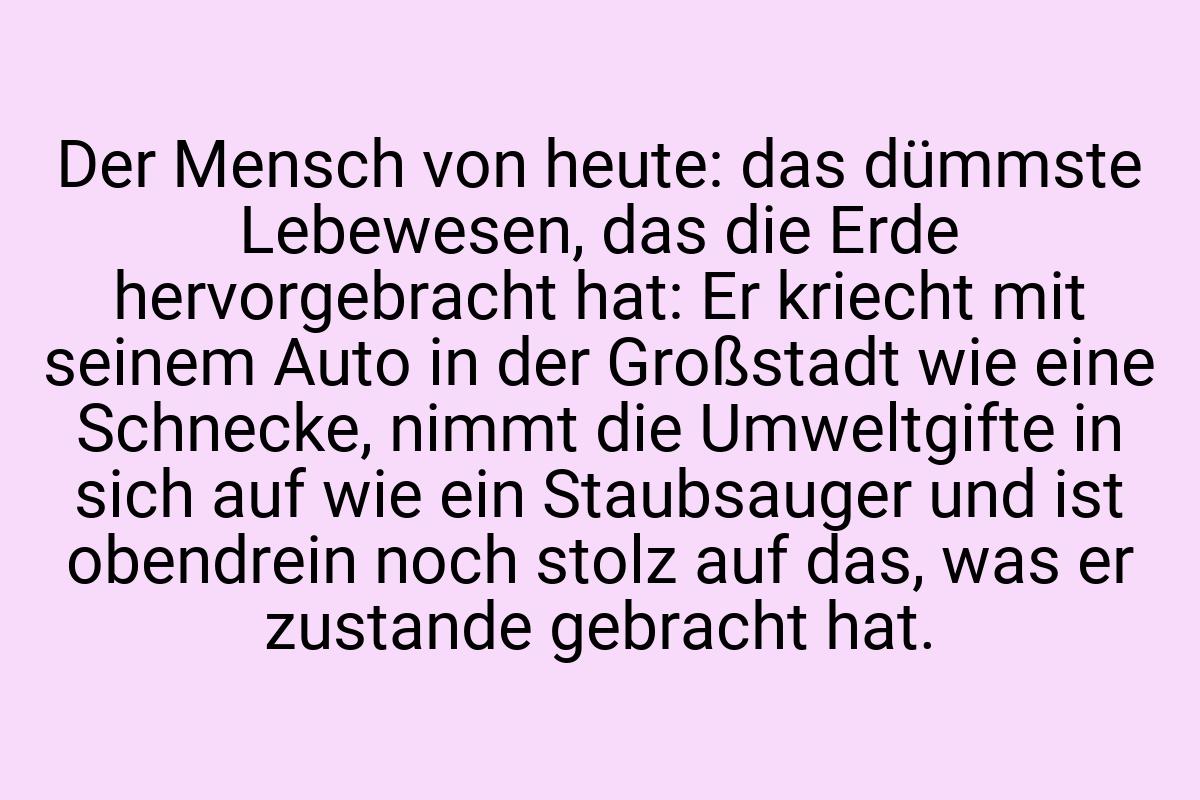 Der Mensch von heute: das dümmste Lebewesen, das die Erde