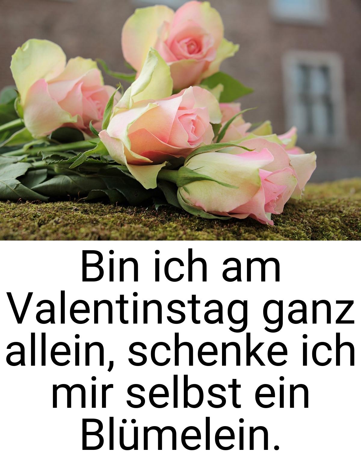 Bin ich am Valentinstag ganz allein, schenke ich mir selbst