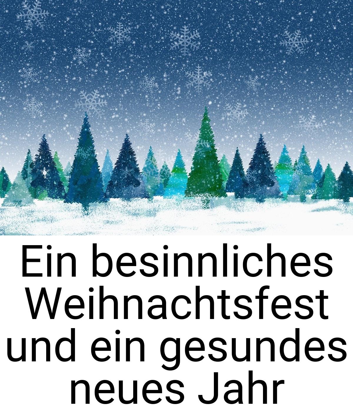 Ein besinnliches Weihnachtsfest und ein gesundes neues Jahr