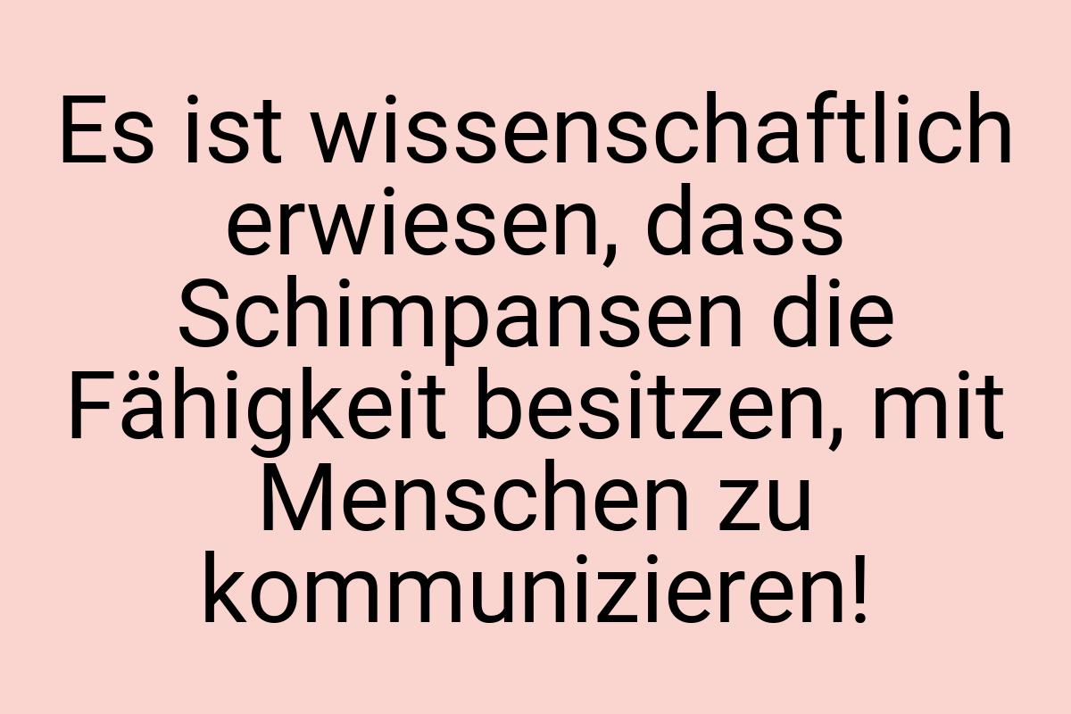 Es ist wissenschaftlich erwiesen, dass Schimpansen die