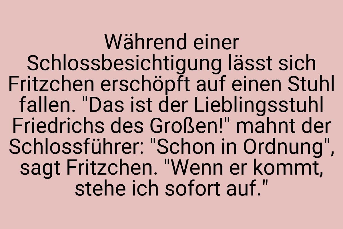 Während einer Schlossbesichtigung lässt sich Fritzchen