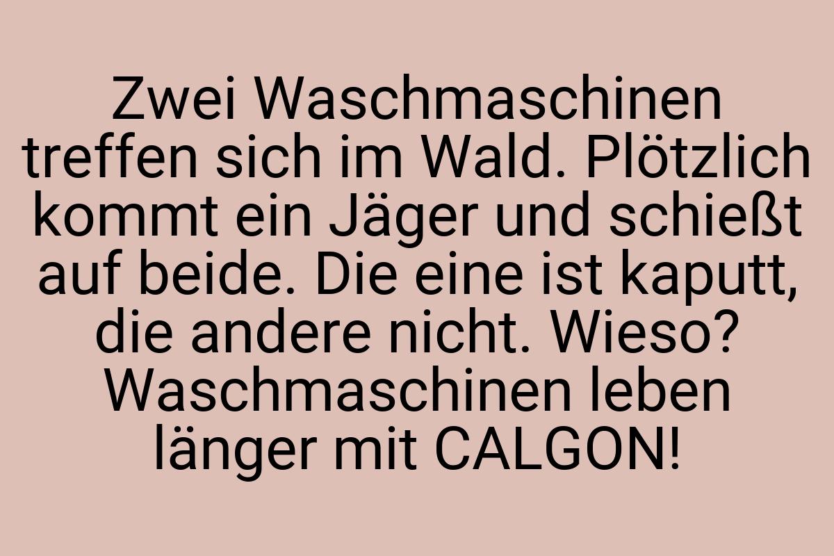 Zwei Waschmaschinen treffen sich im Wald. Plötzlich kommt