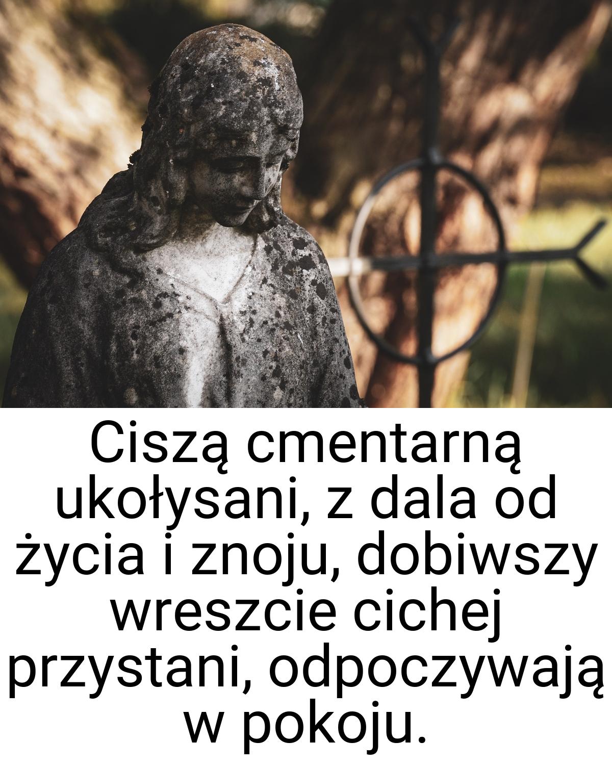 Ciszą cmentarną ukołysani, z dala od życia i znoju